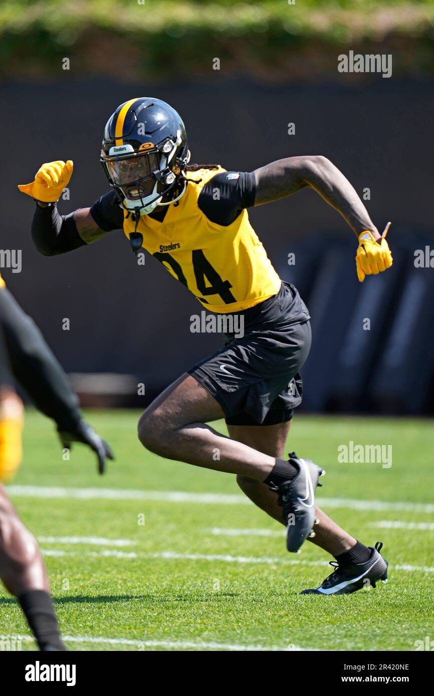 Pittsburgh Steelers cornerback Joey Porter Jr. (24) plays in an NFL  preseason football game against the Buffalo Bills in Pittsburgh, Sunday,  Aug. 20, 2023. (AP Photo/Gene J. Puskar Stock Photo - Alamy