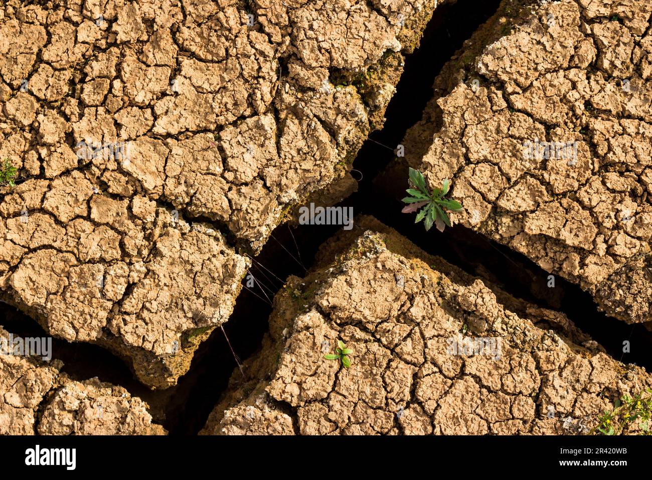 Drying crack of clay soil close up Stock Photo Alamy