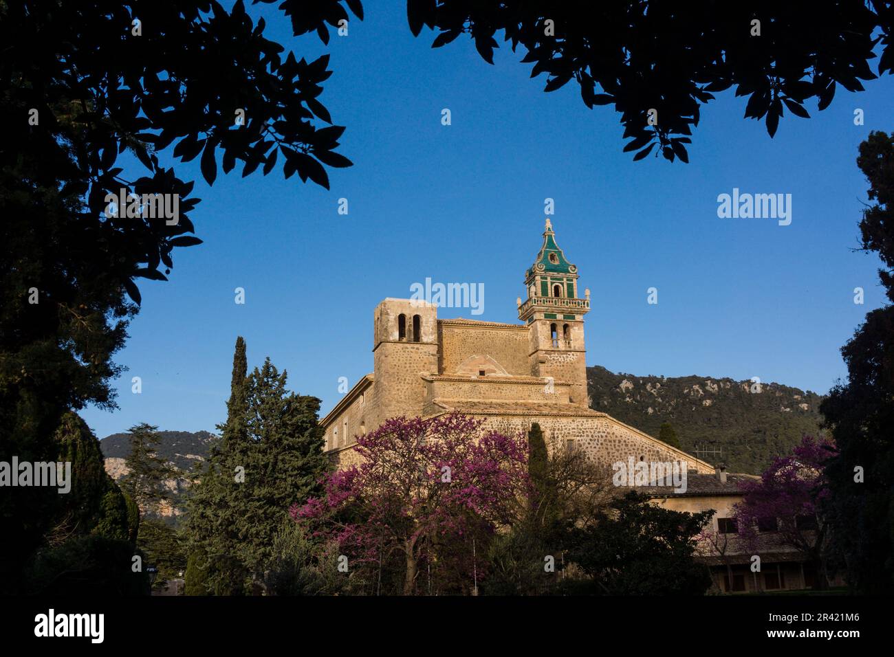 cartuja de Valldemosa, siglo XV, Mallorca, balearic islands, spain, europe. Stock Photo