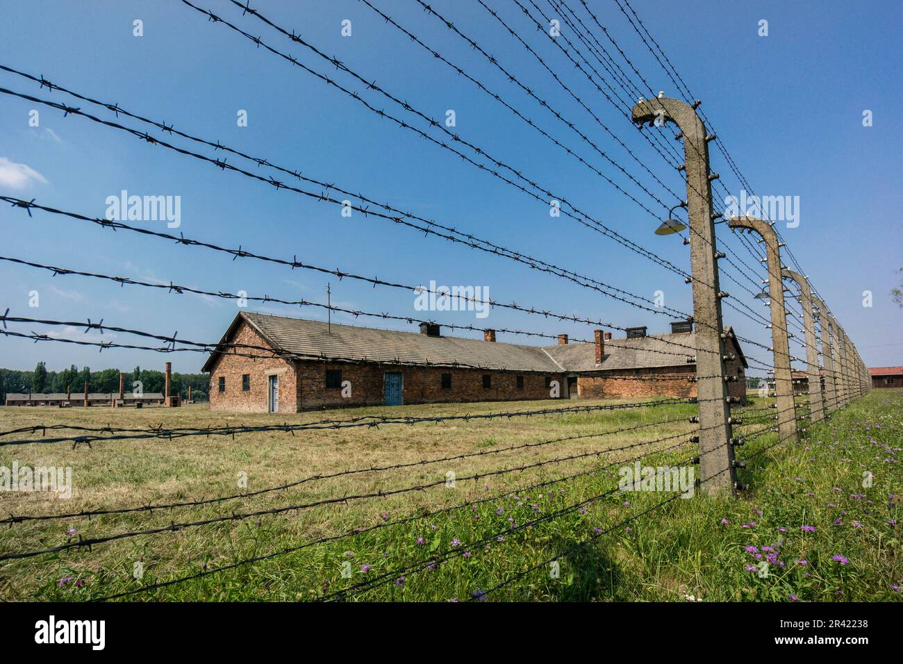 alambrada, campo de concentracion de Auschwitz-Birkenau, museo estatal, Oswiecim, Polonia, eastern europe. Stock Photo