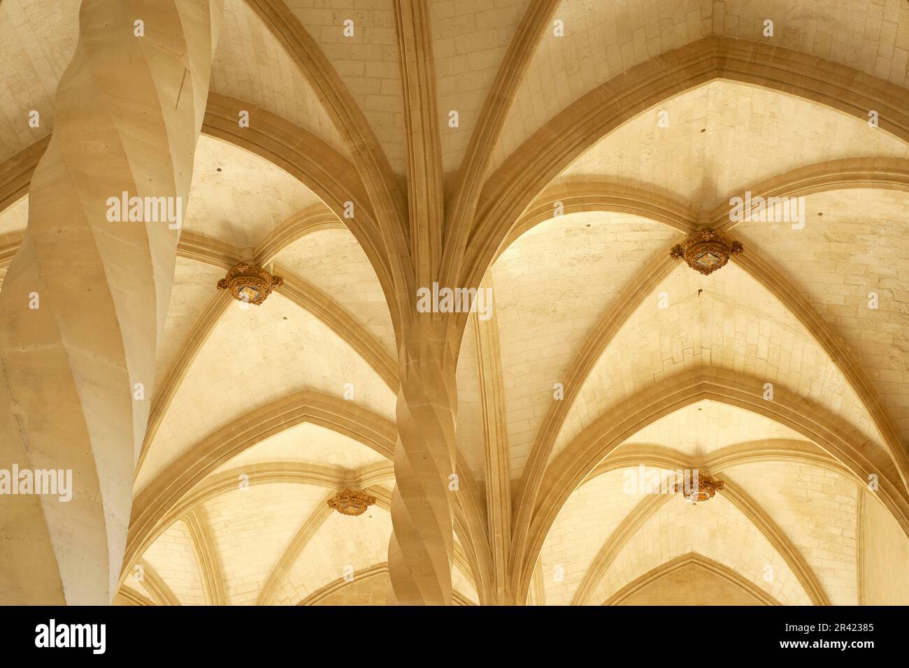 Columnas estriadas en espiral.La Llotja , siglo XV.Palma.Mallorca.Islas Baleares. España. Stock Photo