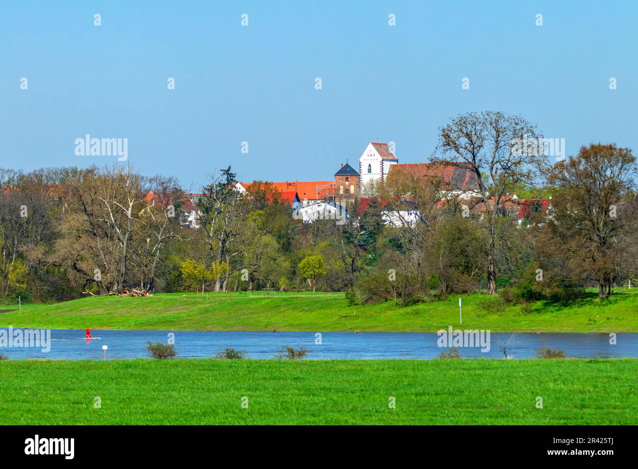 Belgians Stock Photo