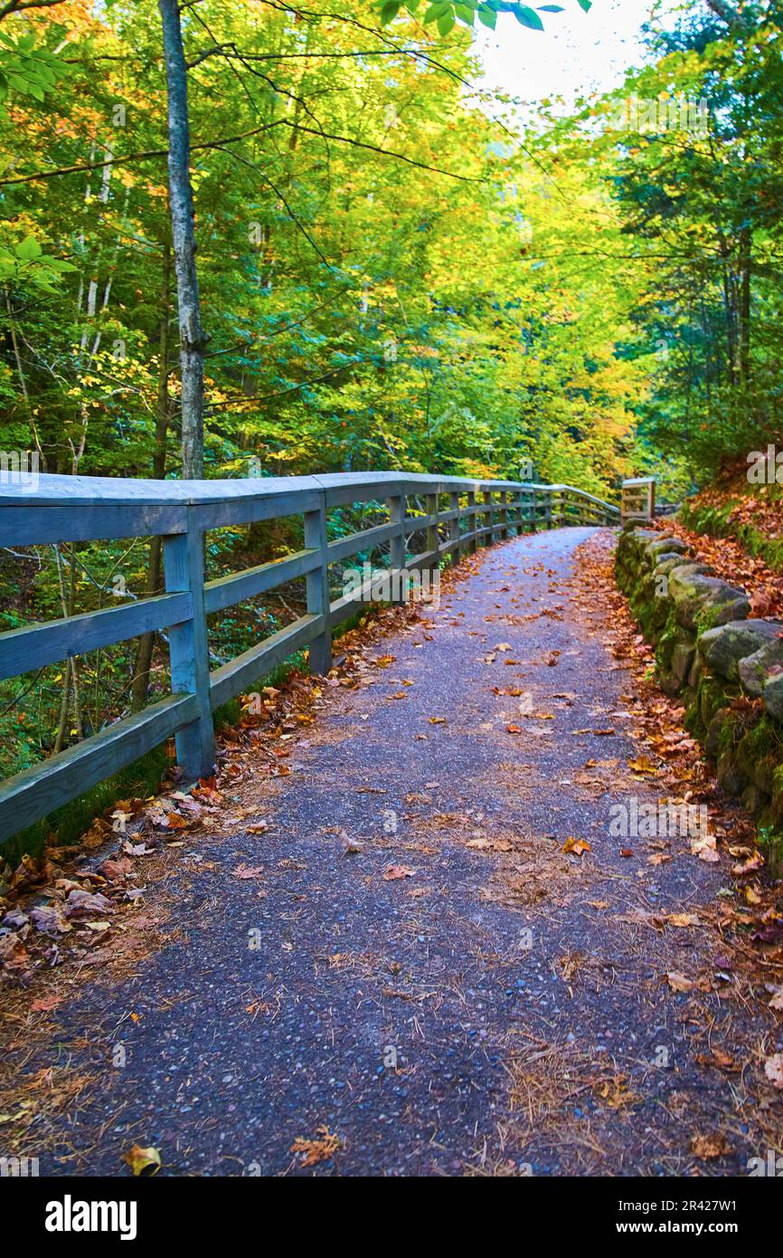 Fallen fall leaves over paved forest trail with painted blue wooden ...