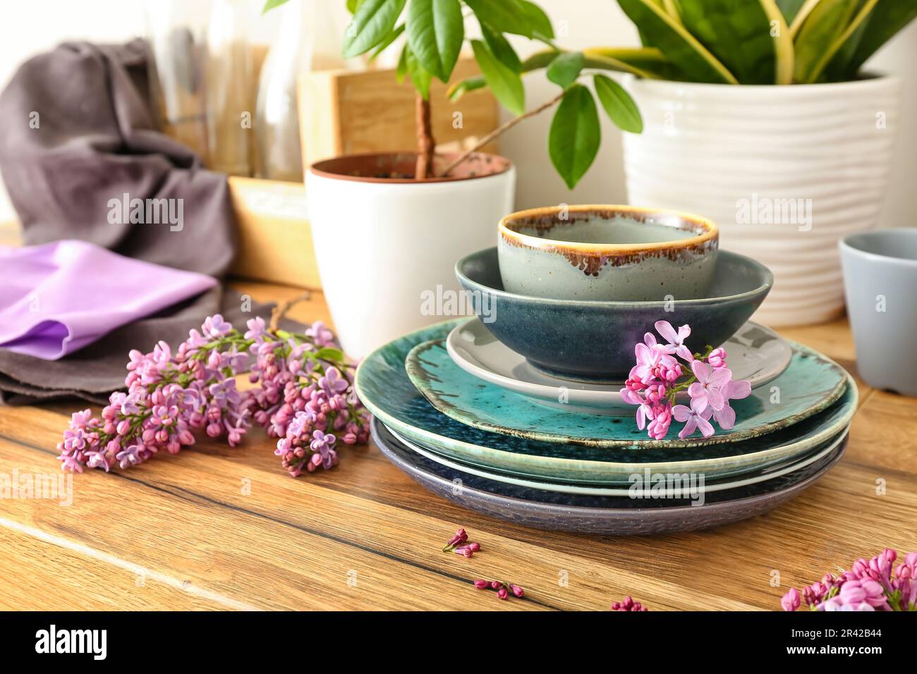 Lilac twig with plates and plants on kitchen counter Stock Photo