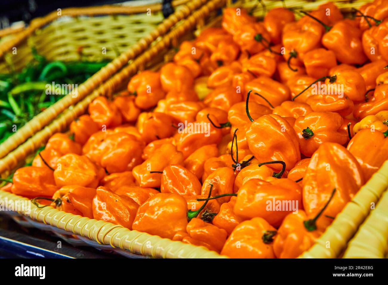 Habanero peppers in tan basket next to serrano green peppers Stock Photo