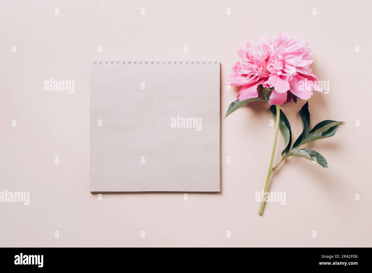 Spring notebook hi-res stock photography and images - Alamy