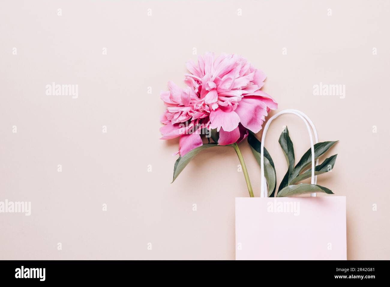 Beautiful pink peony in paper bag. Sale, shopping and eco-friendly packaging concept Stock Photo