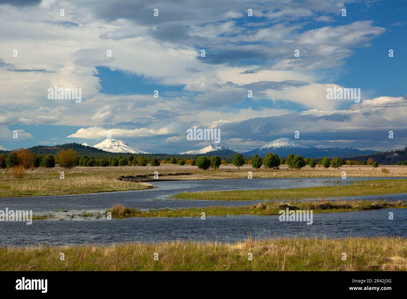 Odell Creek at Davis Lake, Deschutes National Forest, Cascade Lakes