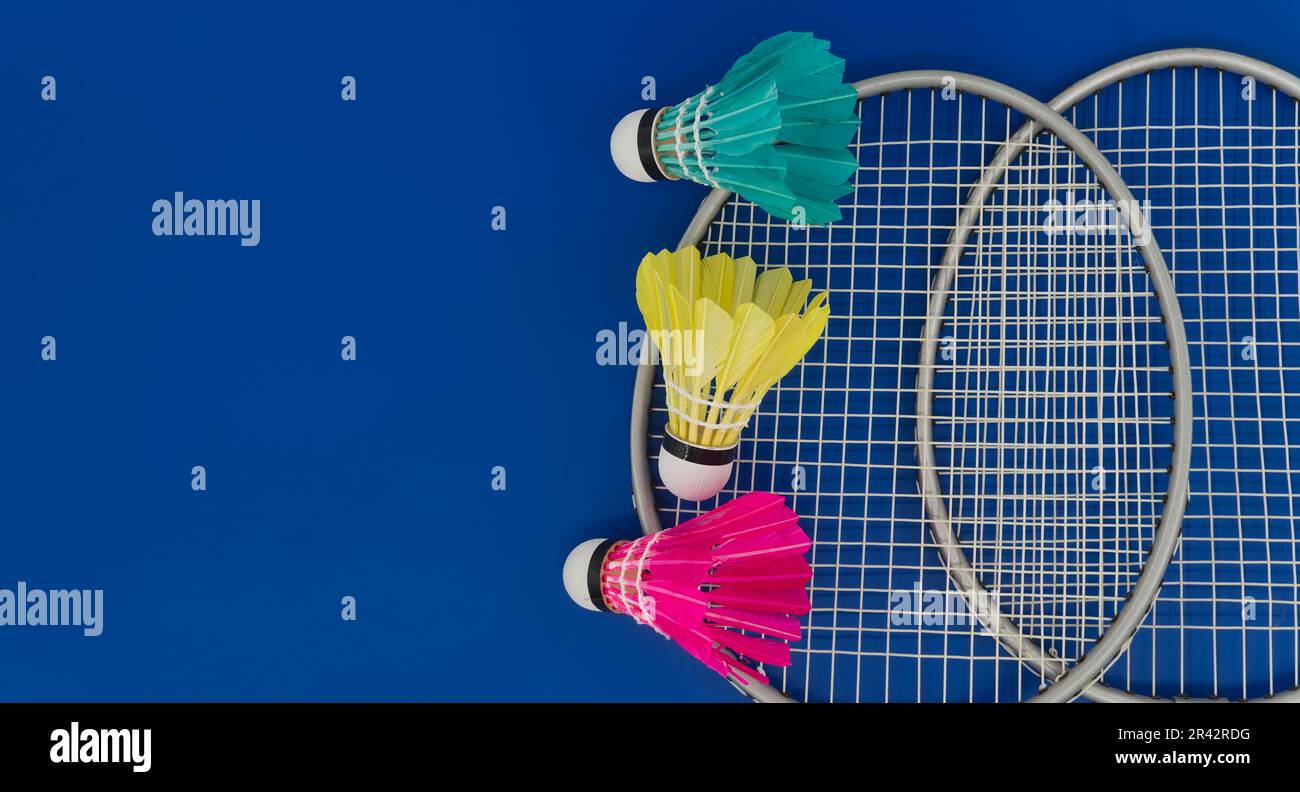 Colorful feathered shuttlecocks in blue, yellow and pink on badminton ...