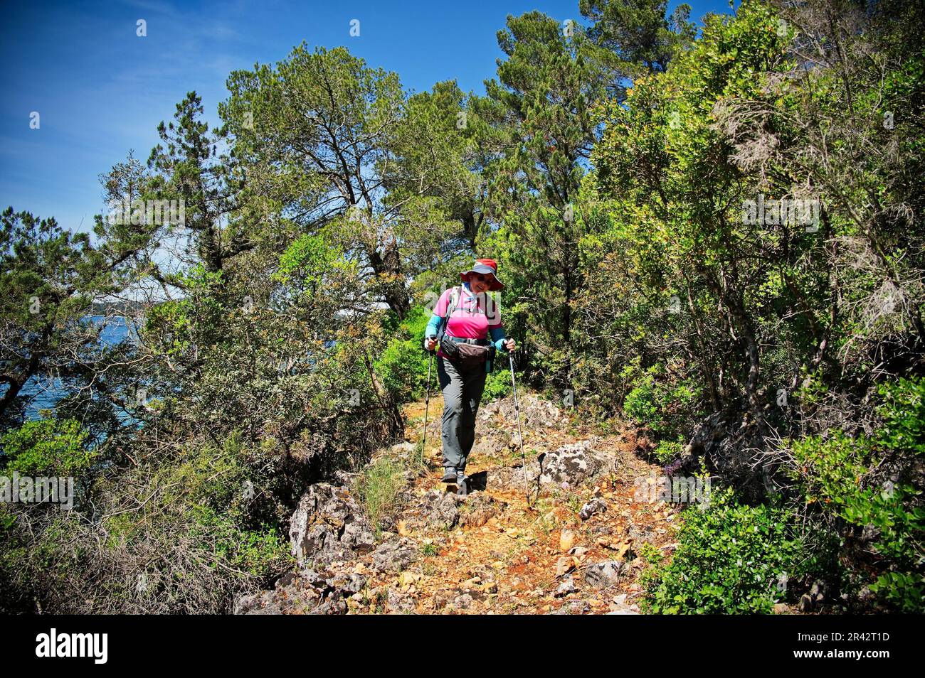 Croatia hiker water hi-res stock photography and images - Alamy
