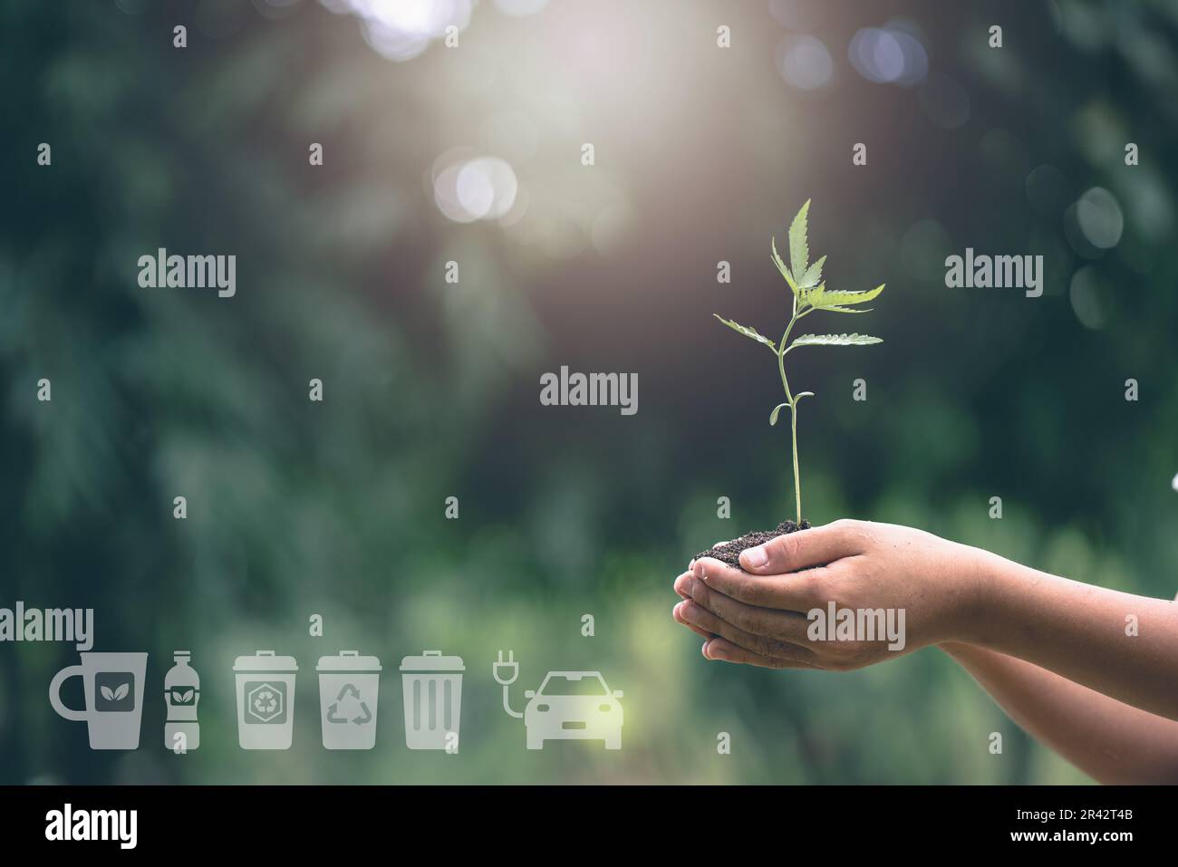 Hand planting trees with technology of renewable resources to reduce