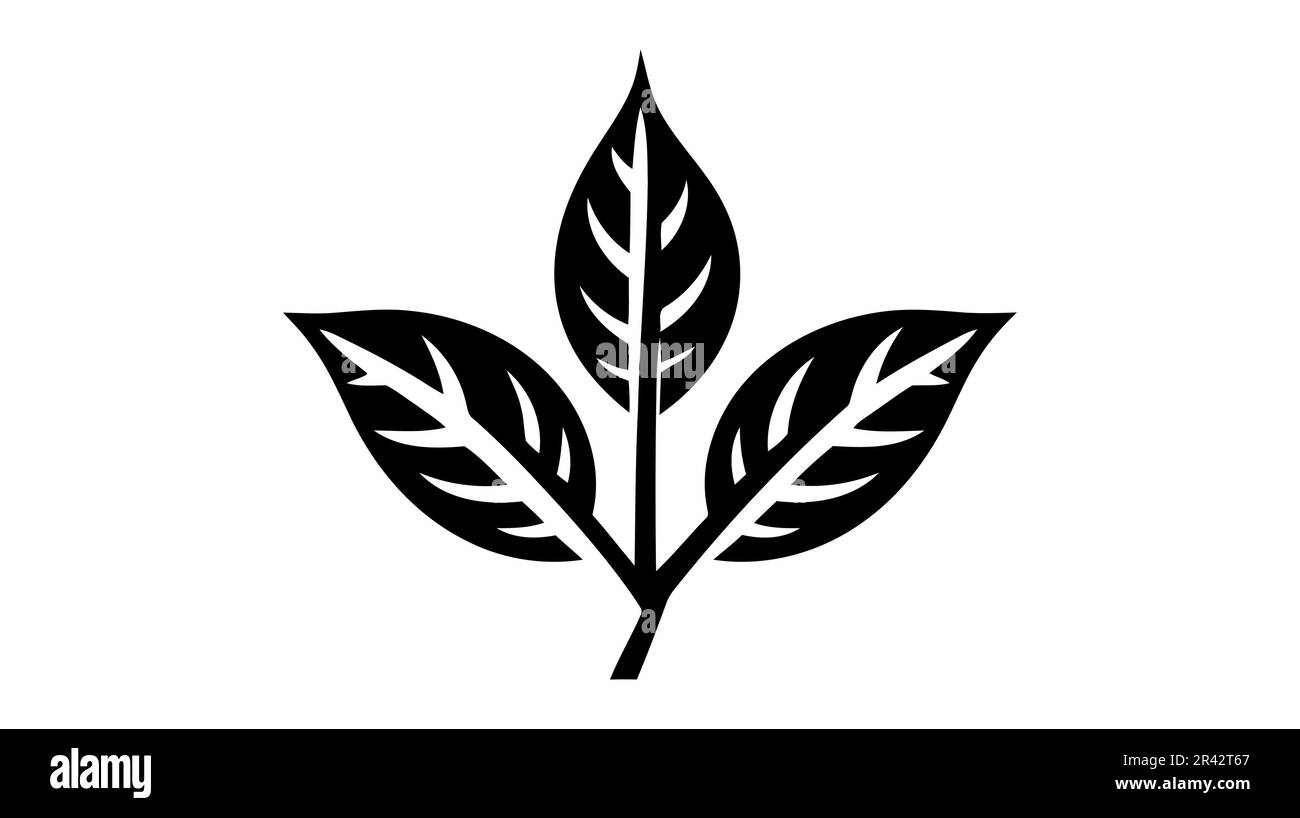 Eco icon black leaf vector illustration isolated on white background ...