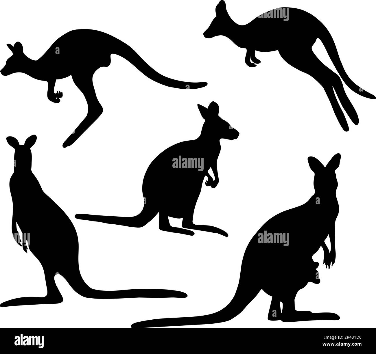 Collection silhouettes kangaroo. Vector illustration. Isolated hand
