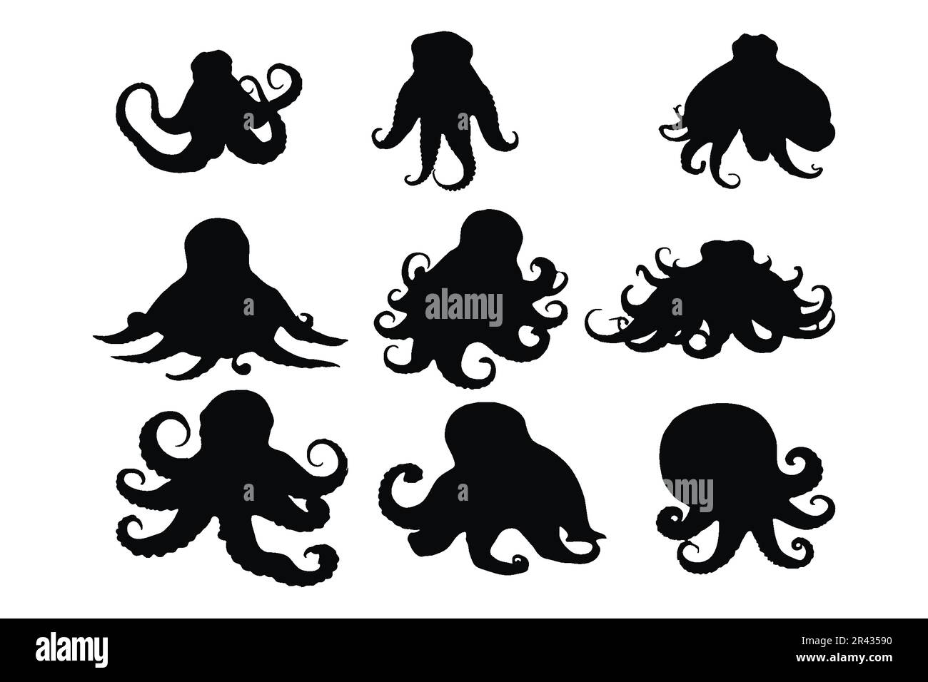 Octopus with long tentacles silhouette set vector. Octopus icon ...
