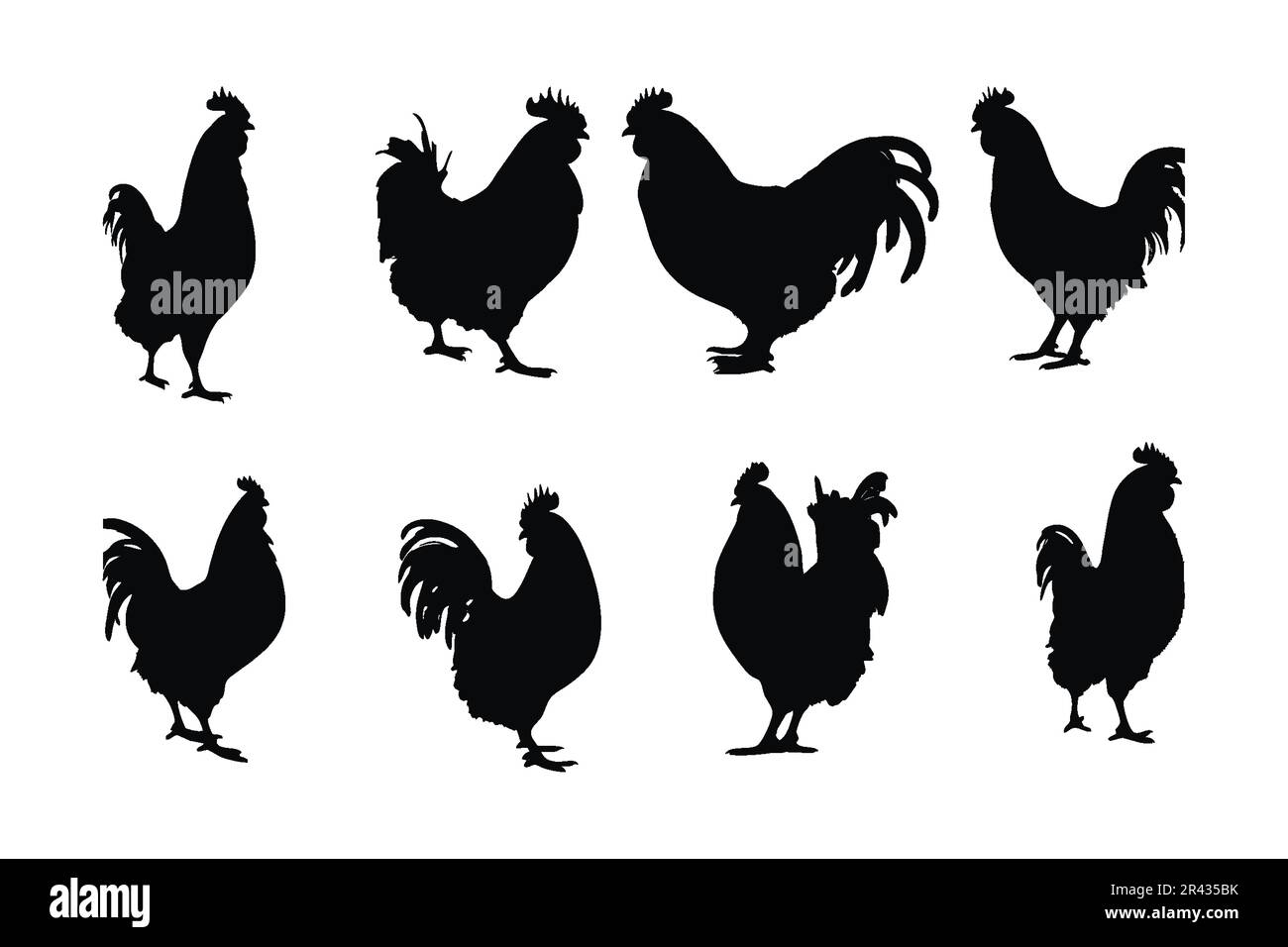 Roosters standing in different positions, silhouette set vector. Big