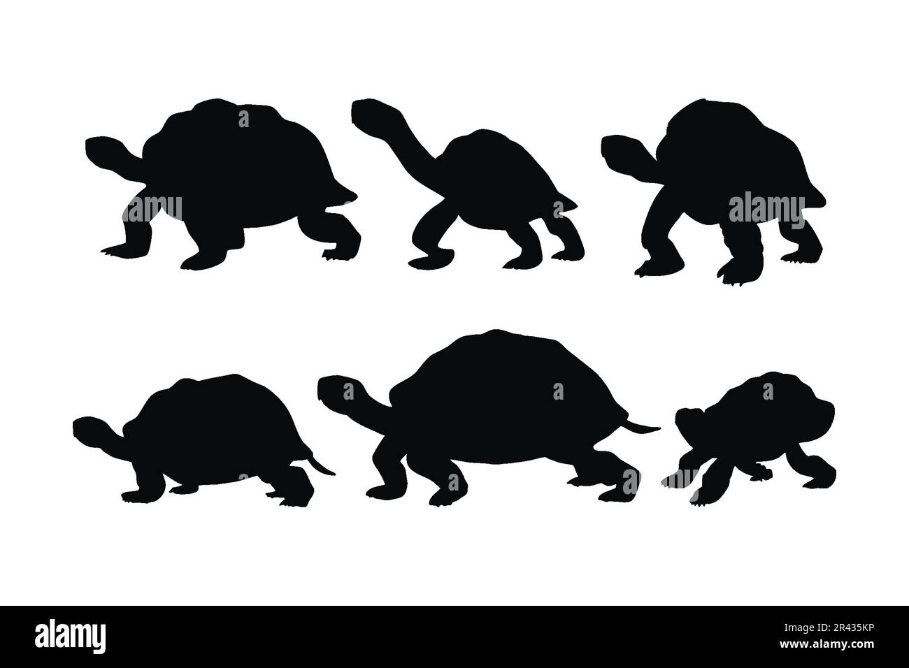 Tortoise walking in different positions, silhouette set vector. Big tortoise silhouette collection on a white background. Wild sea creatures like tort Stock Vector