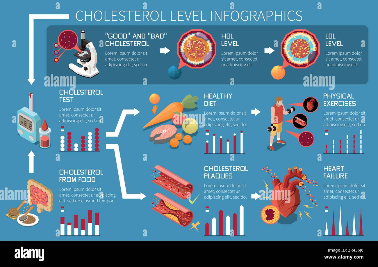 Cholesterol level infographics with blood test and healthy diet symbols