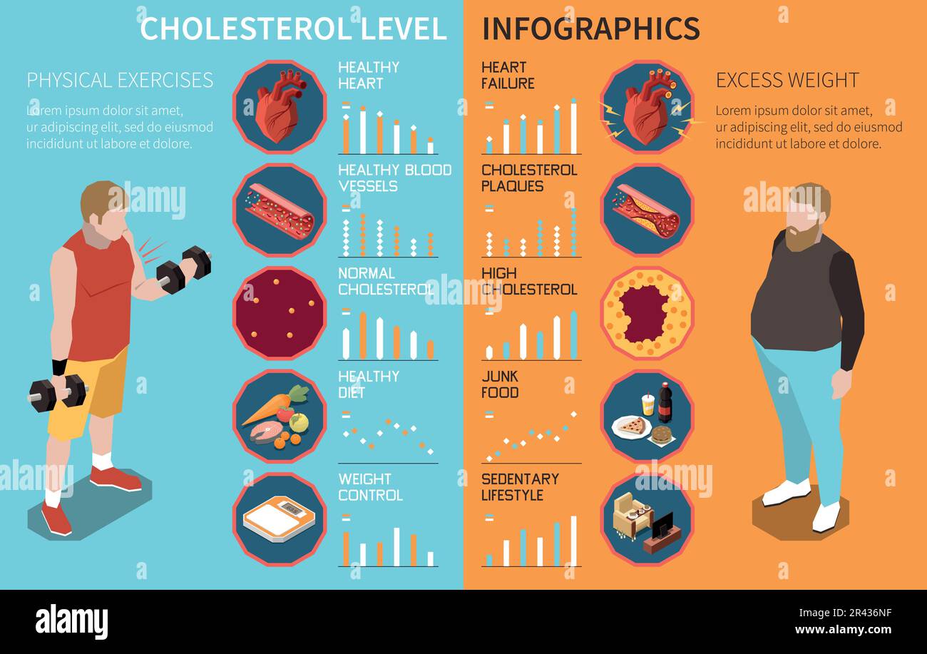 Cholesterol level infographics with healthy and excessed weight people vector illustration Stock Vector