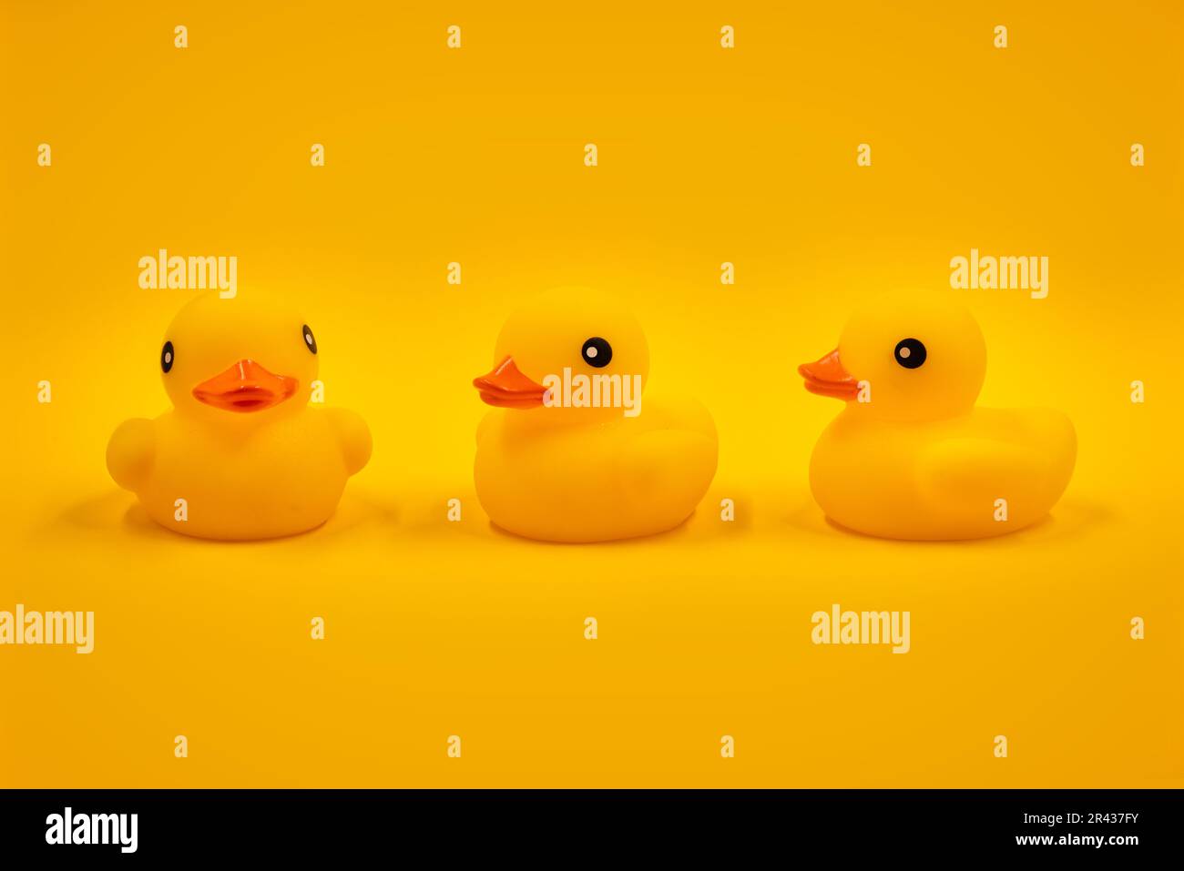 Yellow rubber ducks and one in a row Stock Photo