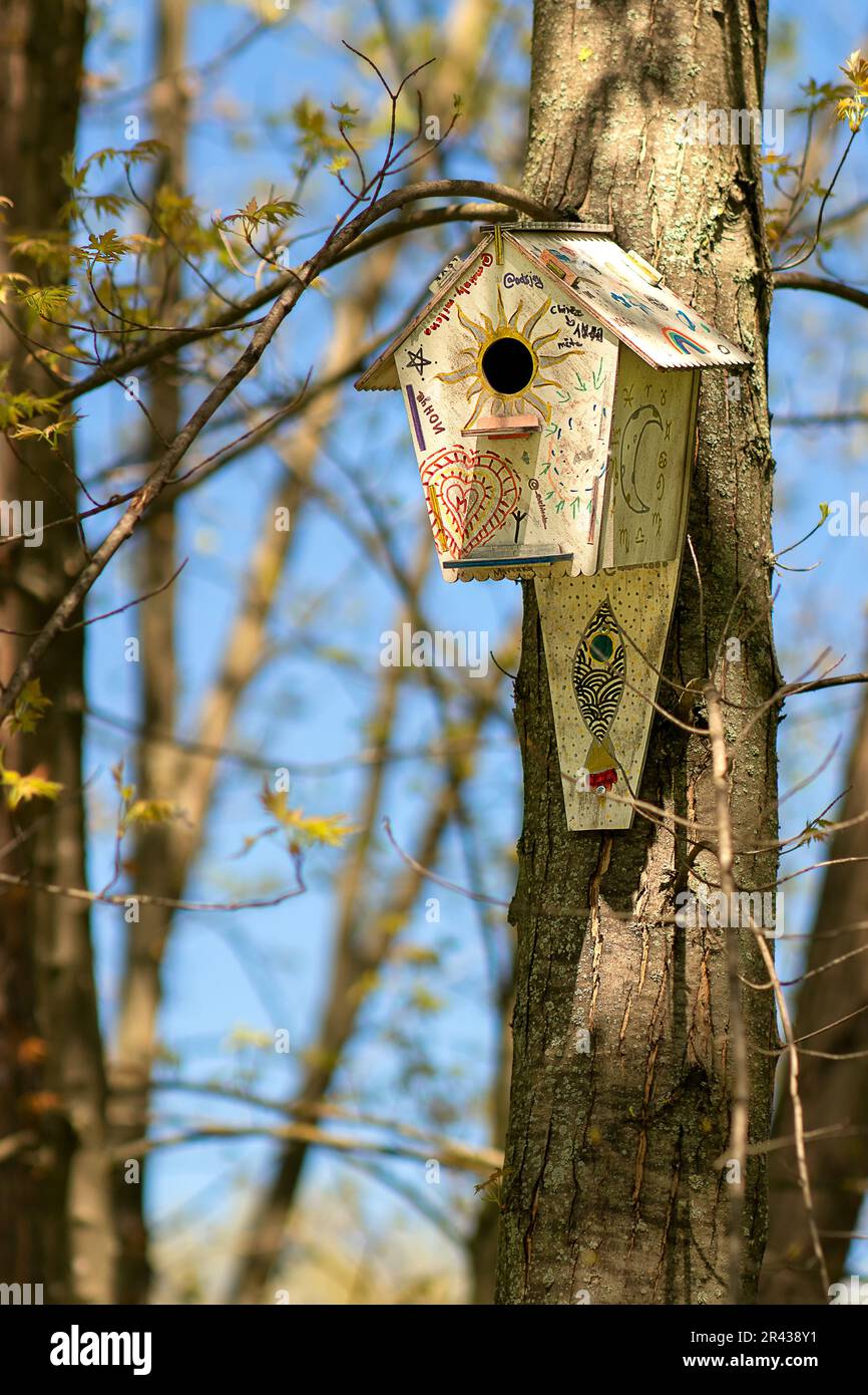 urban forest park, early spring,the long-awaited gentle sun peeked out,the white-painted birdhouse on the tree was beautifully illuminated by the rays Stock Photo