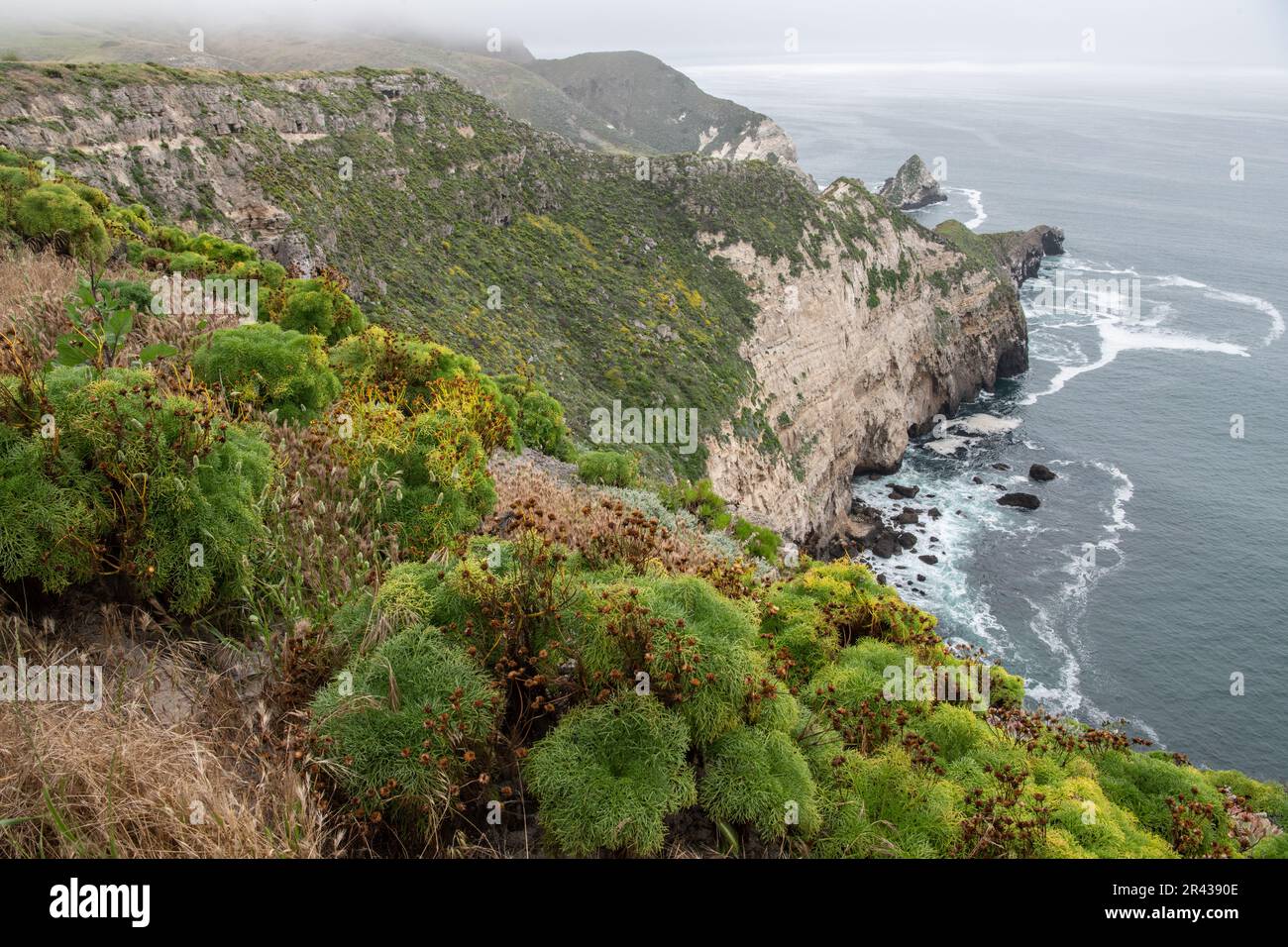 The jagged coastal cliffs of Santa Cruz island part of the Channel islands National Park in Southern California. Stock Photo