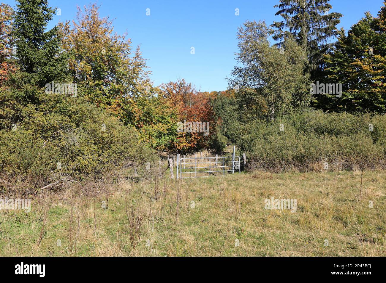 Herbstimpressionen aus Willingen im Sauerland Stock Photo