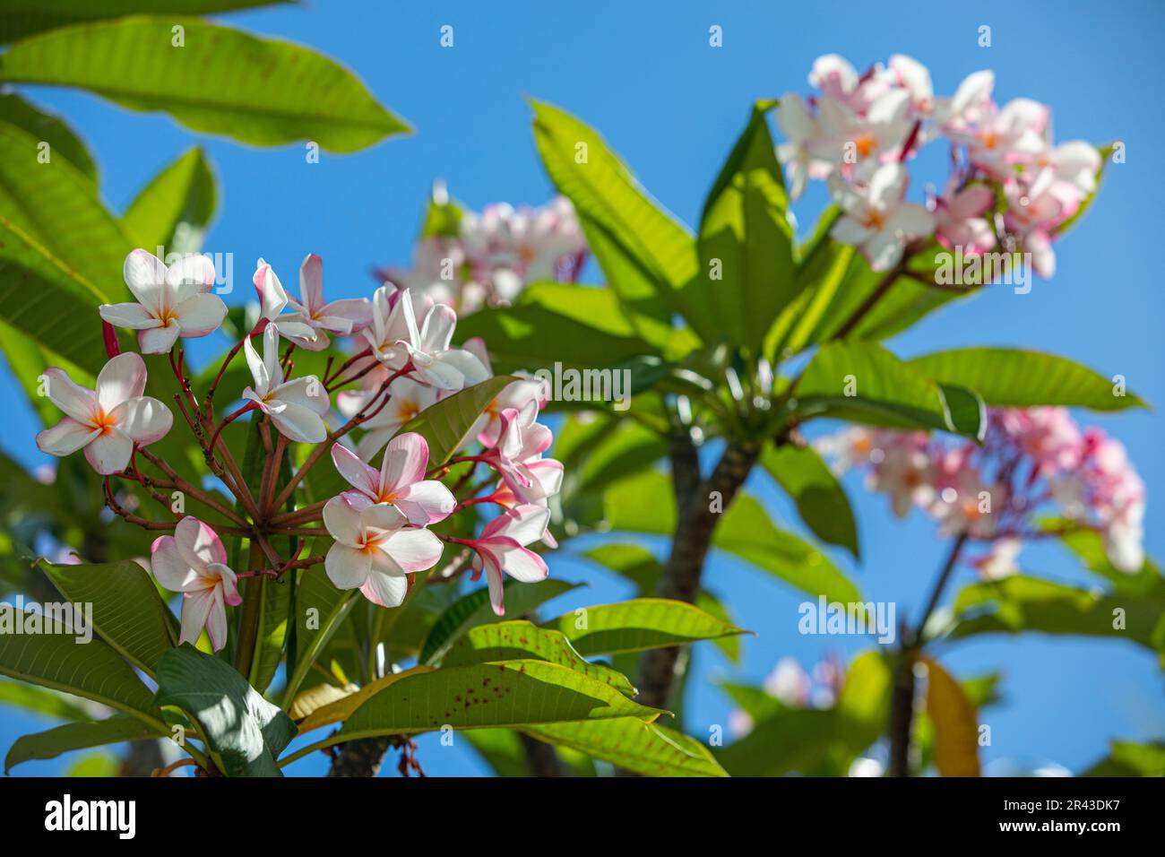 Mahe, Seychelles Stock Photo
