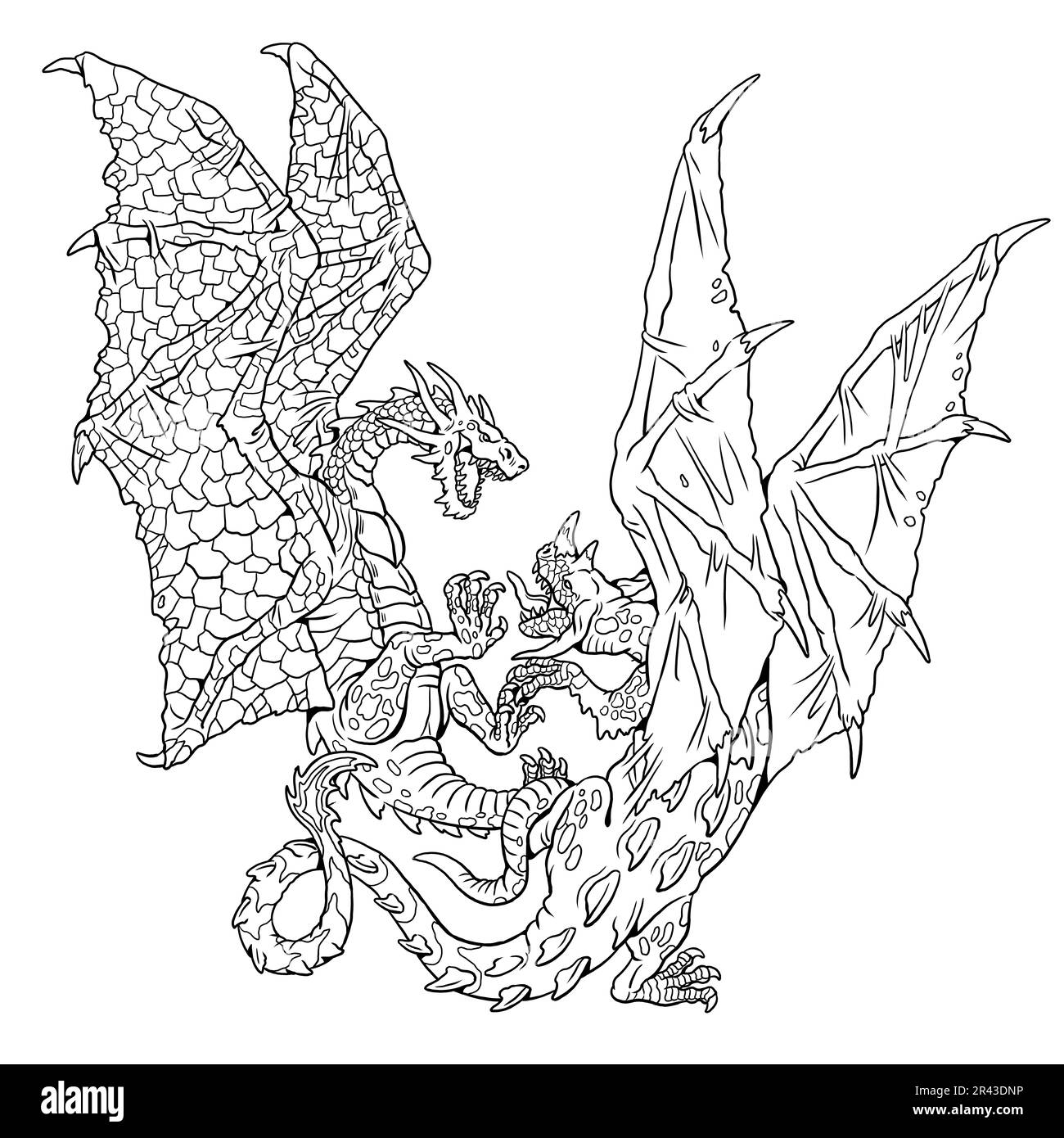 Dragons fight coloring page. Fantasy illustration with mythical creature. Monster dragon coloring sheet. Stock Photo