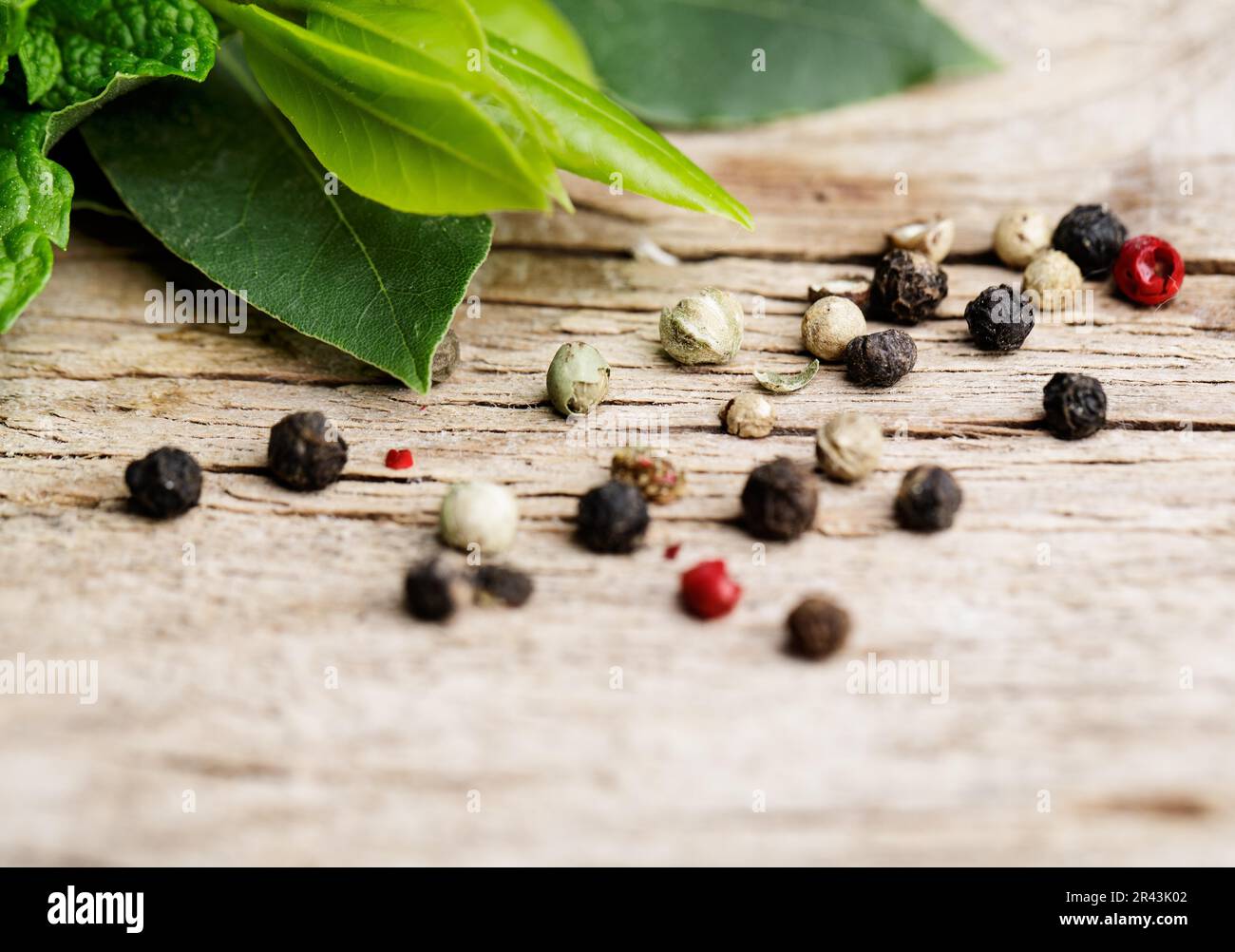 Fresh kitchen herbs in bunches, consisting of thyme, bay leaf, sage and