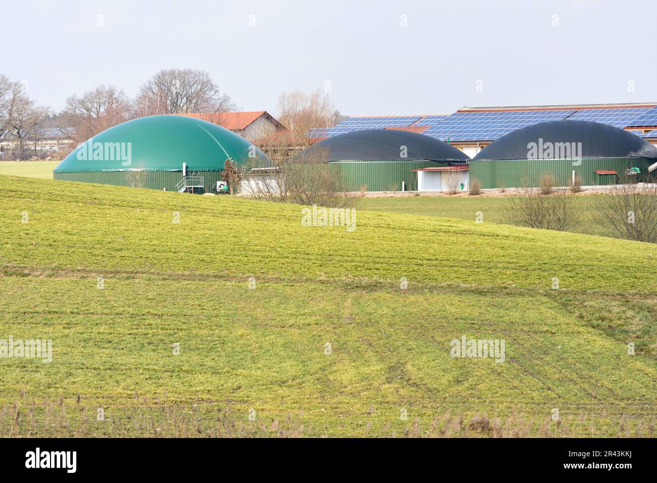 Renewable energy with photovoltaic and a biogas production facility Stock Photo