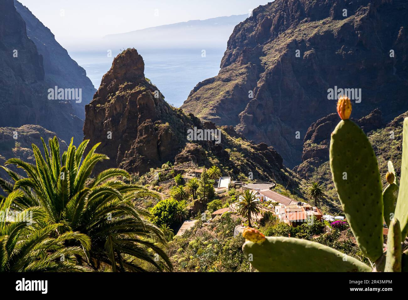 Barranco de Masca gorge with palm trees and cacti, a hidden gem for nature lovers and adventurers alike, as the Roque de Catana mountain overlooks the Stock Photo