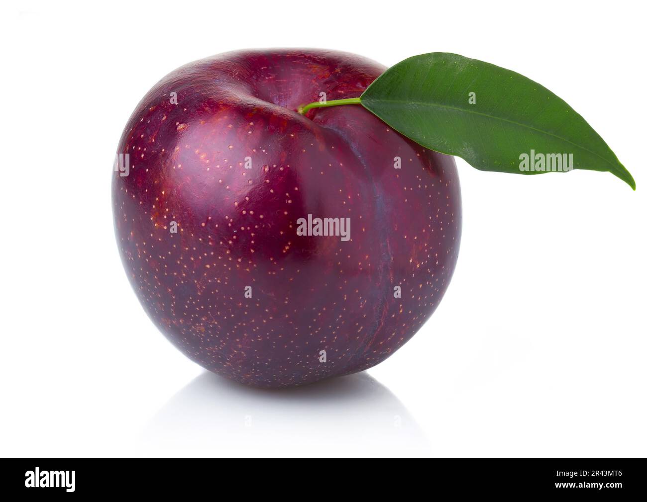 Ripe purple plum fruit with green leaves isolated on white background ...