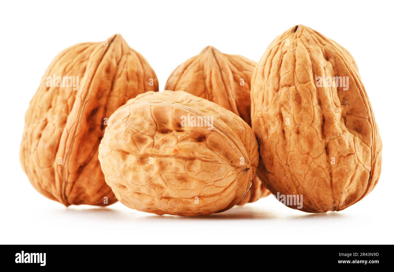 Walnut visual data 5