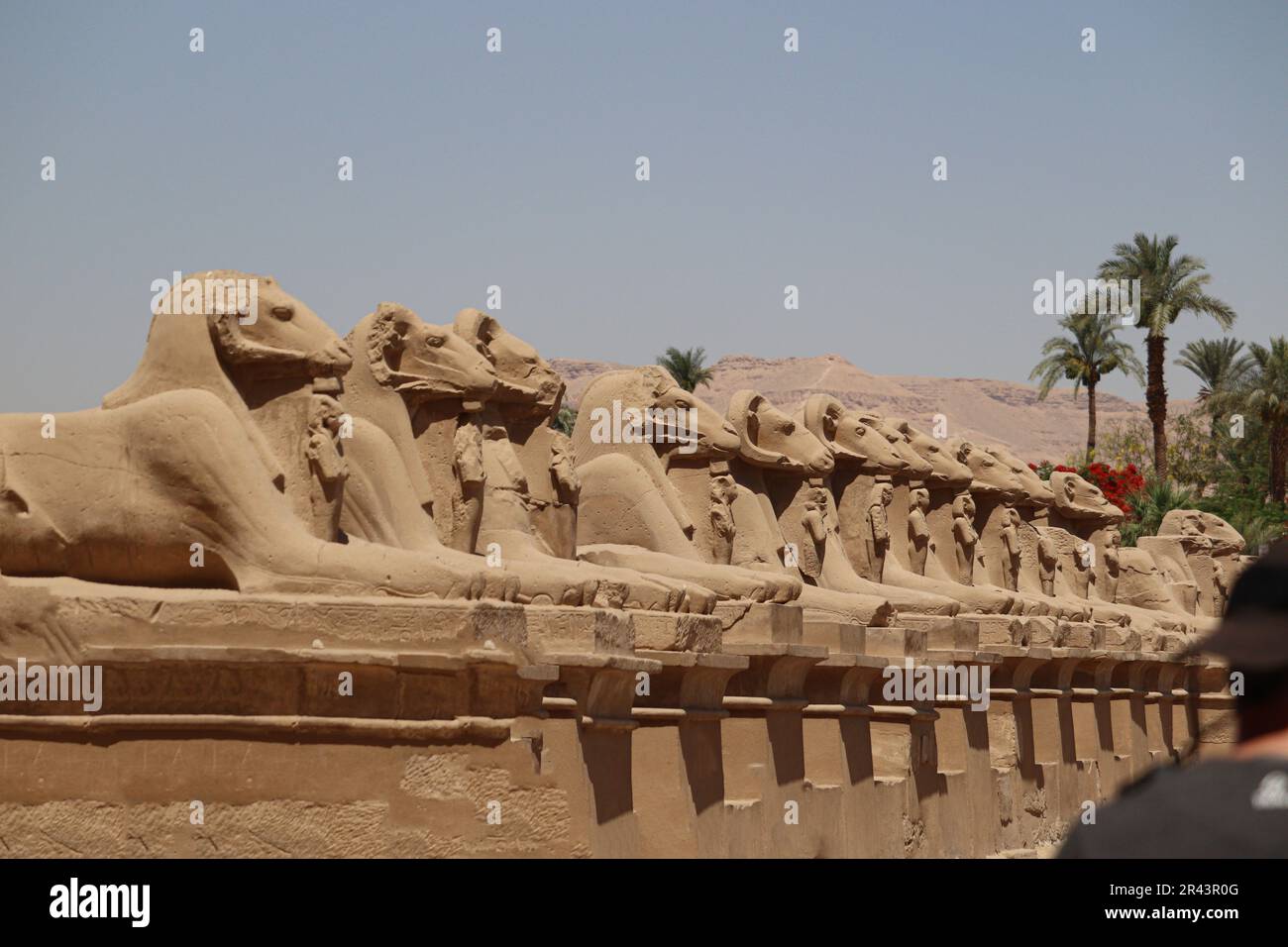 Avenue of Sphinxes (ram-headed statues) at Karnak temple, Luxor, Egypt Stock Photo