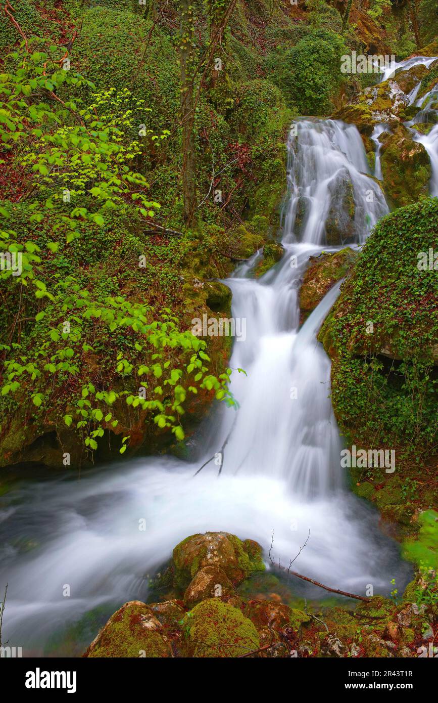 River Urederra, Urbasa Natural Park, River Urederra near its source ...