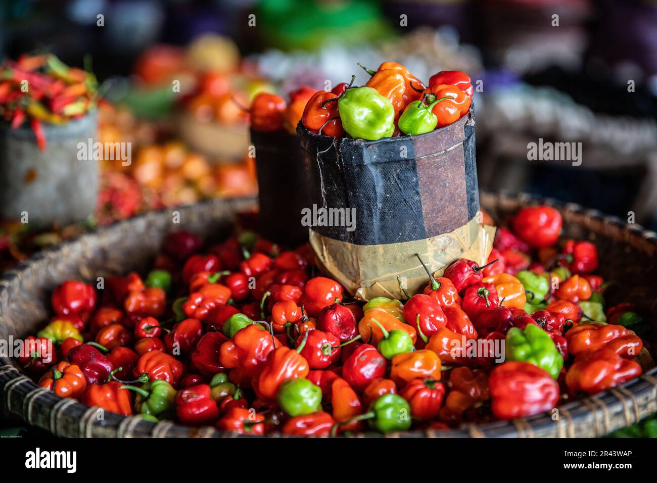 red and green pepper on a market, tana toraja, sulawesi, Indonesia Stock Photo