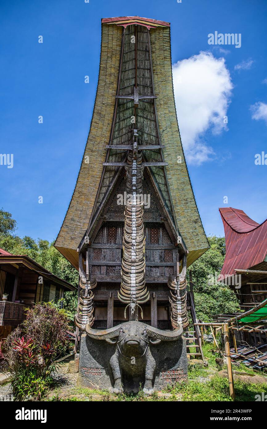 Traditional Toraja Houses Tana Toraja Sulawesi Indonesia Stock Photo