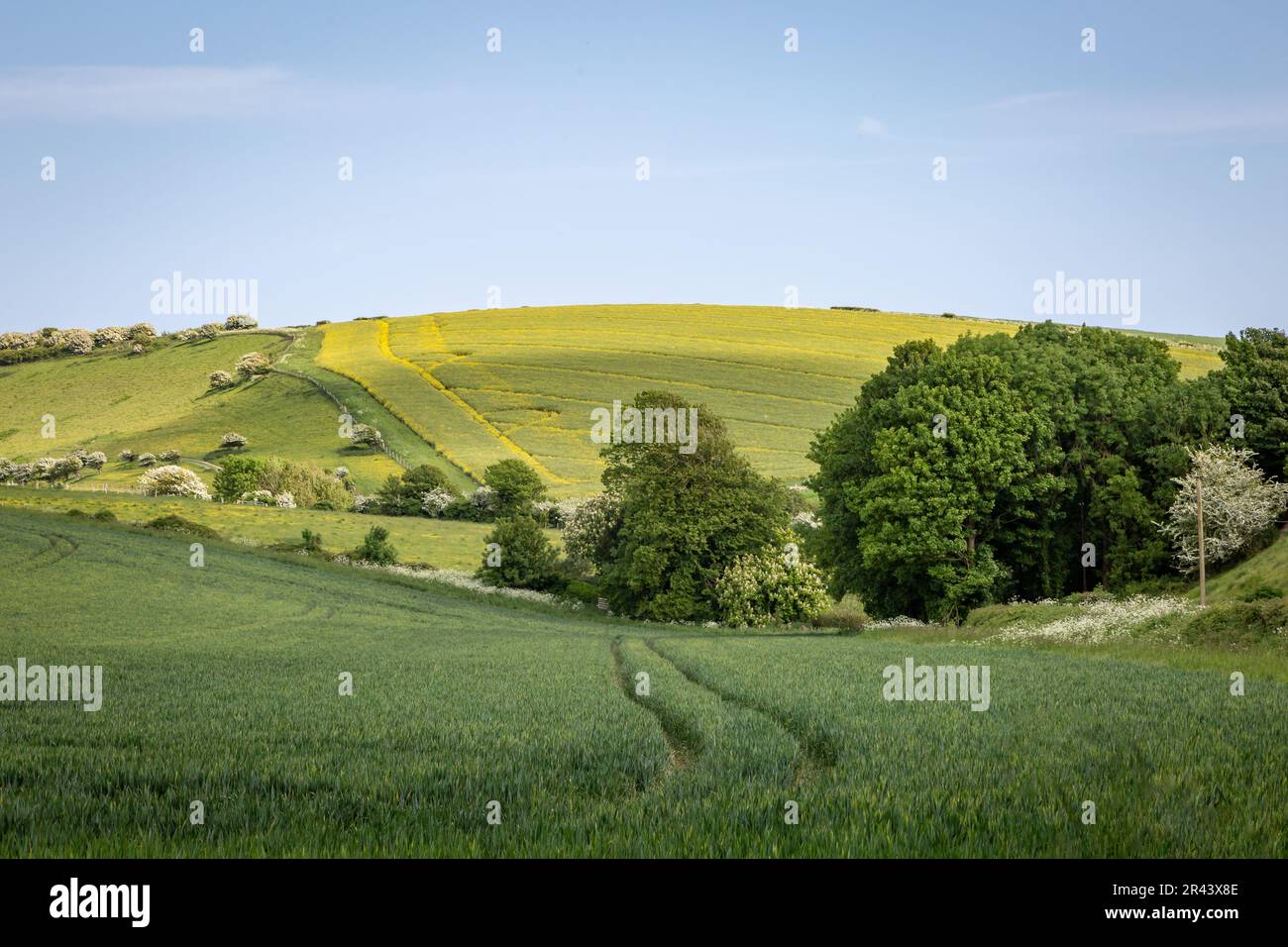 A rural Sussex farm landscape Stock Photo Alamy