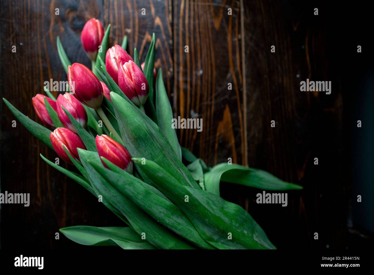 Above shot bouquet of pink tulips on wooden table Stock Photo