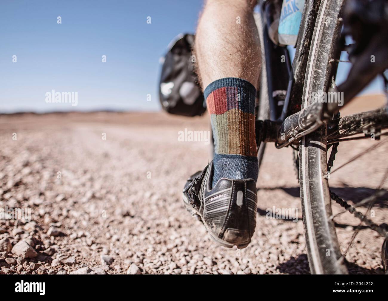 Cycle-Paths Sporting Socks in Brown by Bird Dog Bay main image 1