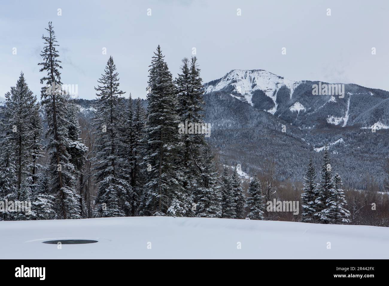 Winter san juan national forest hi-res stock photography and images - Alamy