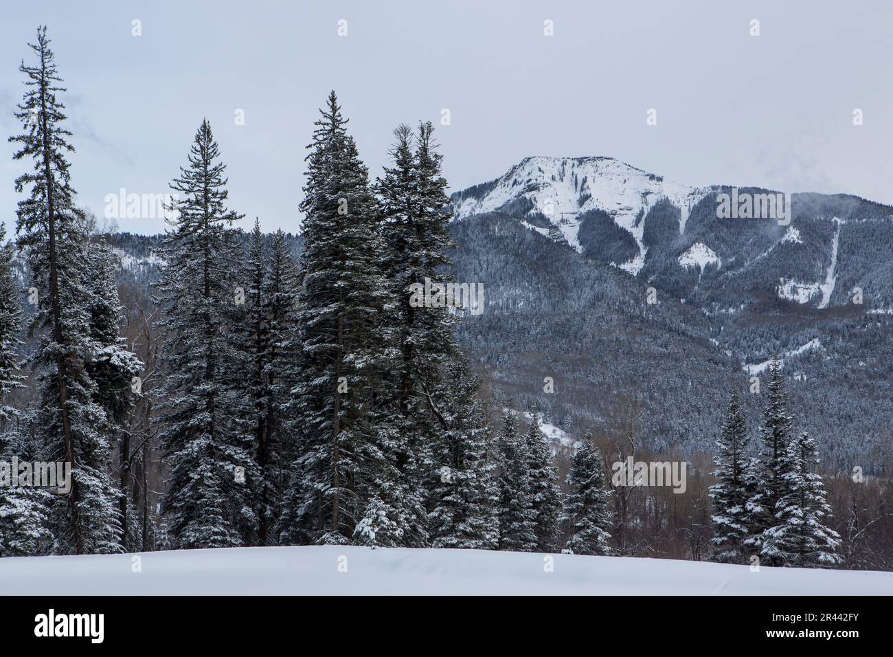 Snowy Landscape in Colorado's San Juan Mountains Stock Photo