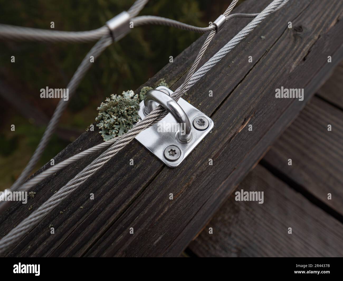Screwed hook and tensioning joints on a modern wire fence. Anchor eye