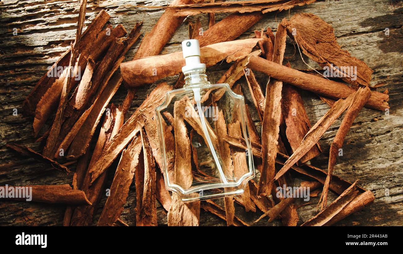 Perfume Bottle Resting On Cinnamon Stick Stock Photo Alamy