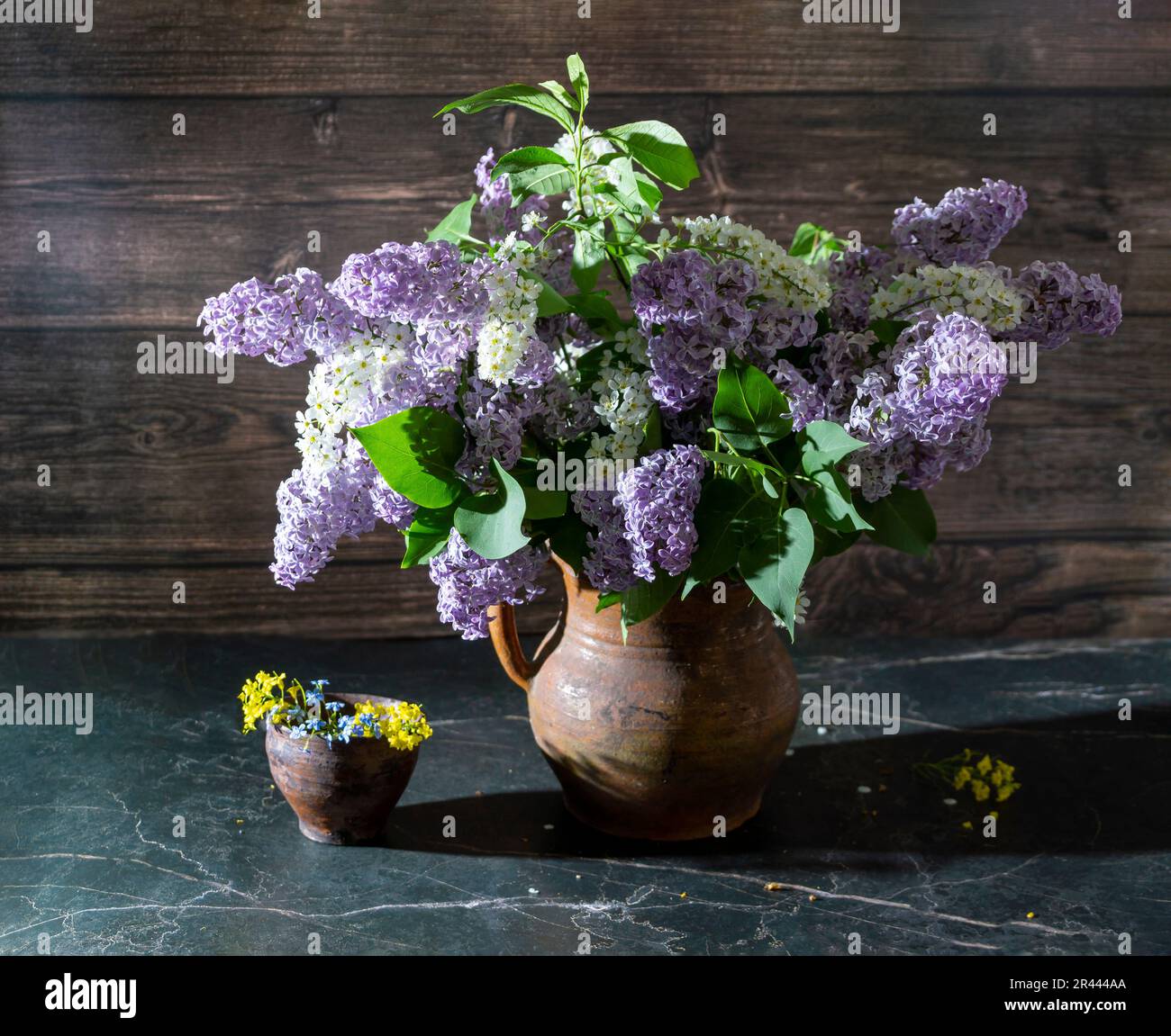 Still life with lilacs and white bird cherry in an old clay vase on a ...