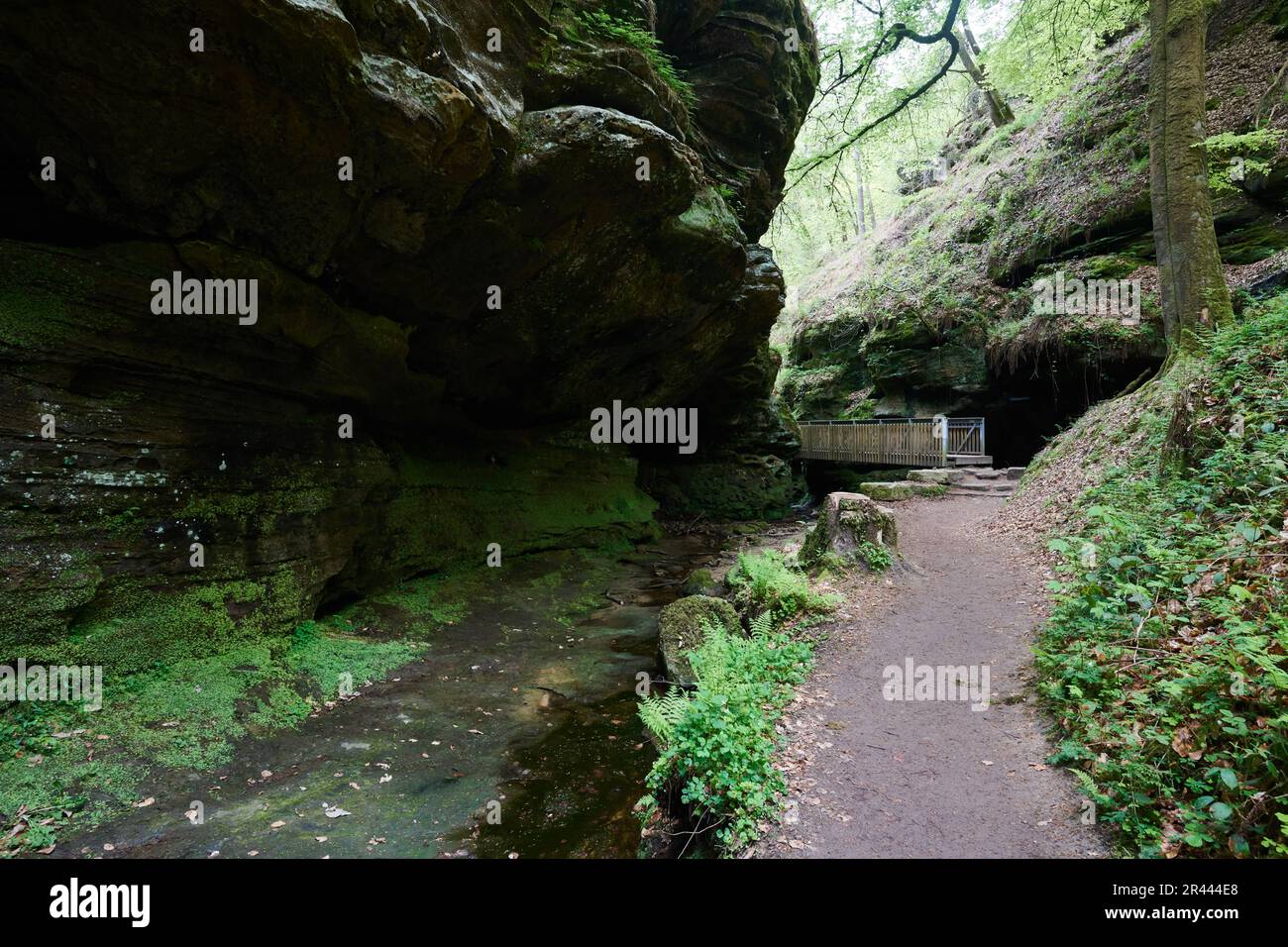 Mullerthal hiking trail in Luxembourg Stock Photo