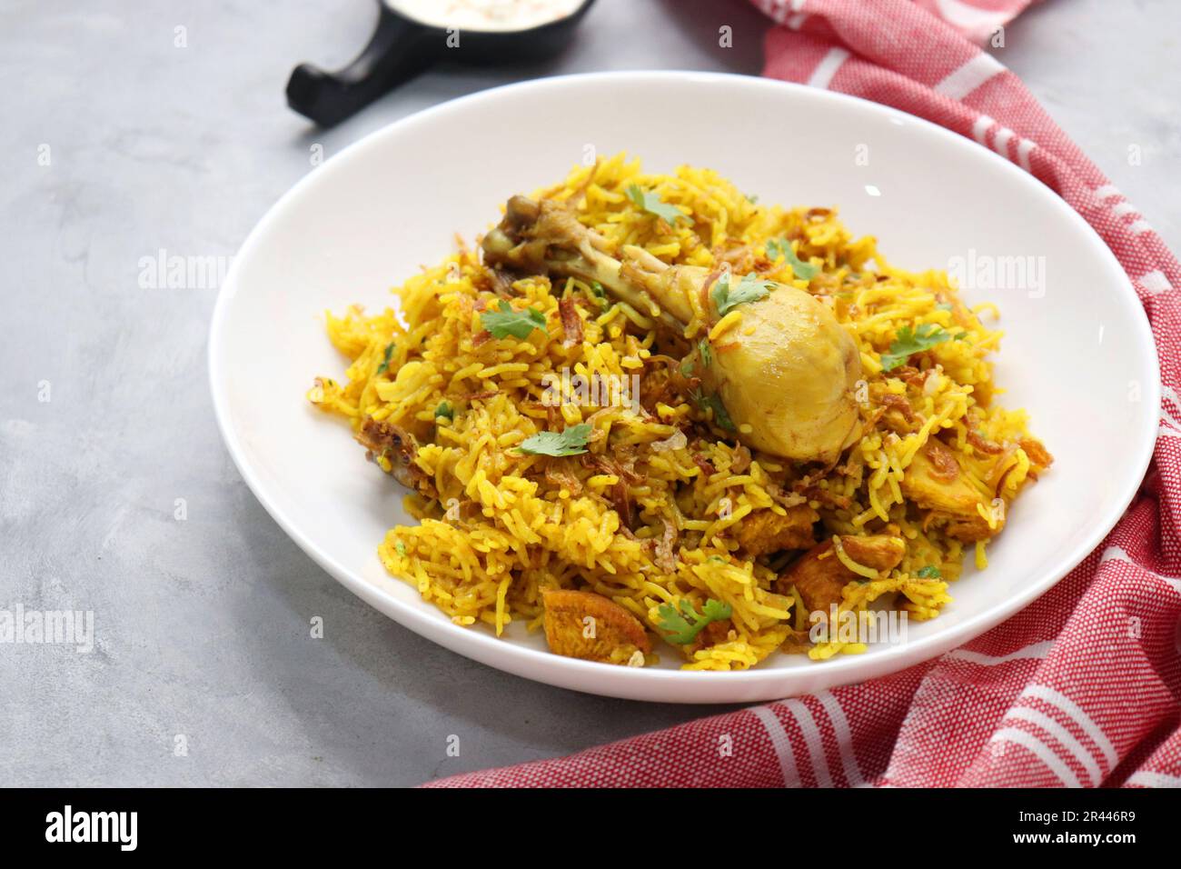 Chicken Biryani/murg Pulao. Garnished with fried onion & chopped