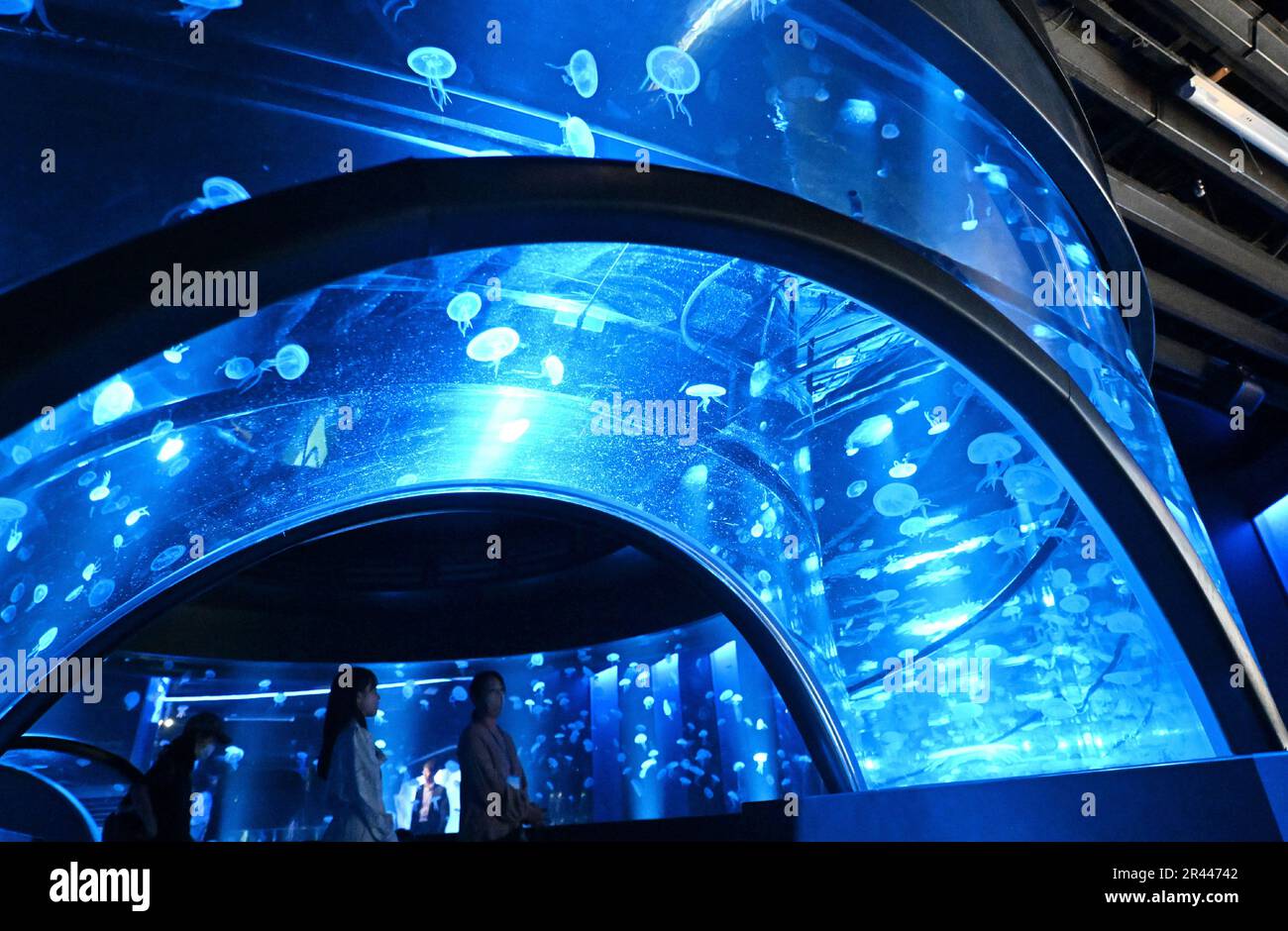 A photo shows a huge water tank of Kyoto Aquarium using nonfossil