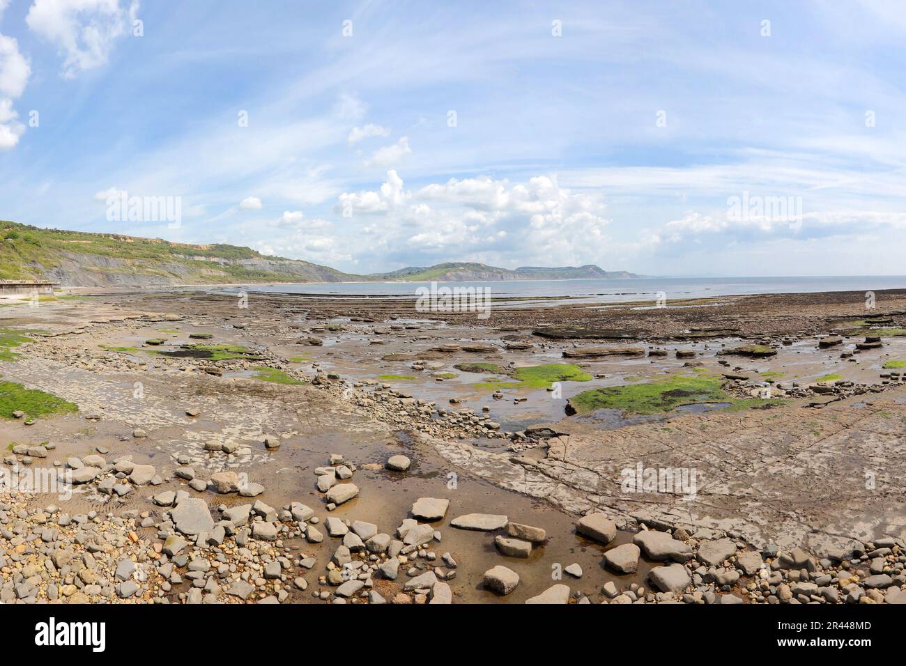 Low tide in Lyme Regis Stock Photo Alamy