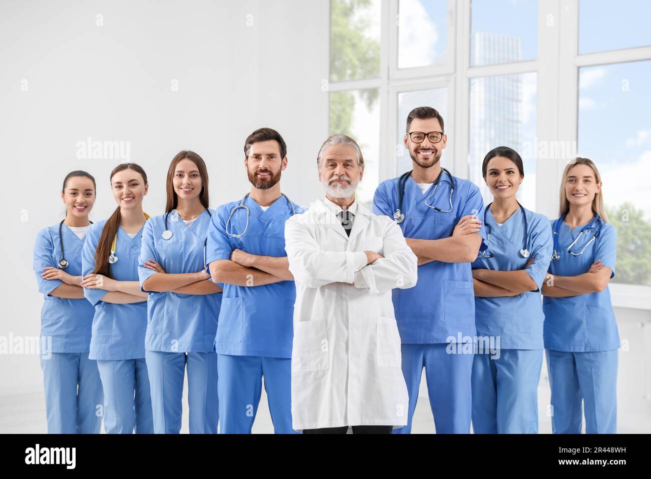 77 fotos de stock e banco de imagens de Medical Team Doctor Leader  Background - Getty Images